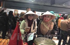 Vietnam leaves impression at cultural festival in Egypt 