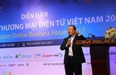 HCM City and Hanoi lead e-business index