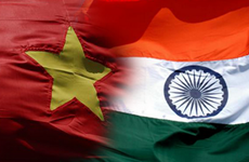Vietnam, India hold defence policy dialogue  
