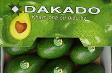 Dak Lak avocado targets world market