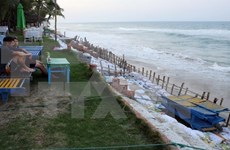 Measures sought to protect Cua Dai beach