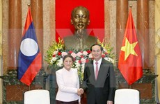 President calls for effective implementation of VN-Laos agreements