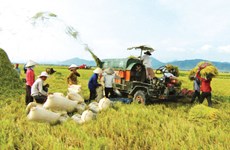 Nghe An strives to have 225 new-style rural communes by 2020