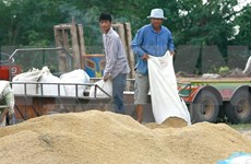 Thailand sells 1 million tonnes of rice at first bidding