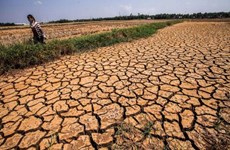 Southern region to see less drought, more rain in 2017 dry season