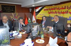 Vietnam promotes trade in Egypt