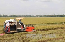 VN agricultural sector urged to modernise technology