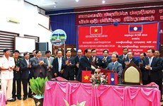Quang Nam works with Lao province to protect forest