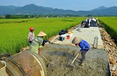 Binh Dinh invests over 7 mln USD in new rural area building