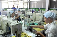 Dong Nai sees record local business capital registration
