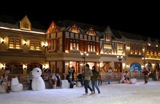 Snow Town offers cool new amusement in HCM City