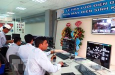 Phu Yen biomass power plant joins national grid