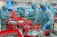 Export of aquatic products earns 1.5 billion USD in first quarter