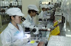 Foreign investment key to Vietnamese growth: experts