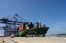 Ba Ria-Vung Tau: One more port receives large container ships