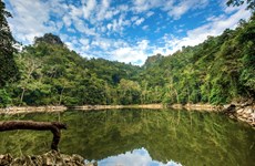 Vietnam seeks UNESCO recognition for Ba Be-Na Hang natural heritage