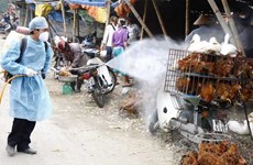 Ministry launches national bird flu control programme