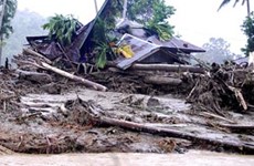 Flash floods in Western Indonesia kill two, quake hits Philippines