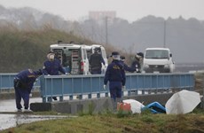 Japan police arrest suspect in murder of Vietnamese girl