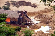 Illegal gold mining in Quang Nam to be scourged 