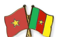 Vietnam bolsters partnership with Cameroon