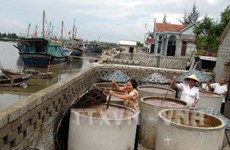 Nghe An builds seafood processing centres