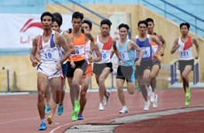 Vietnam aims for at least 49 golds at SEA Games 29