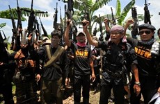 Jemaah Islamiyah militant group regains strength: experts