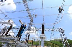 48-mln-USD projects set to ensure power supply for APEC