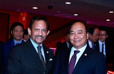 Vietnam, Brunei leaders agree to foster cooperation  