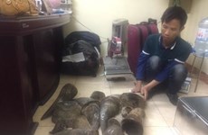 Hanoi police busts major wildlife trafficking ring