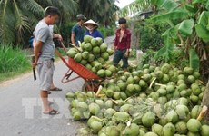 Fruit, vegetable exports hit 1 billion USD in 4 months 