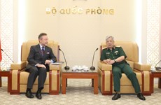 Deputy Defence Minister, Czech ambassador talk defence ties
