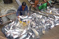 Vietnam, Norway confer on aquaculture
