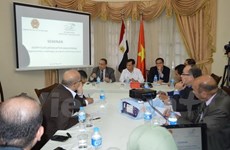 Seminar talks prospect of Vietnam-Egypt ties in Cairo 