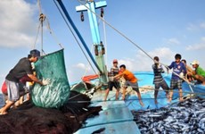 MARD: China’s fishing ban in Vietnam’s waters is valueless