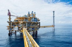 Thai oil firm suspends investment in Indonesia 