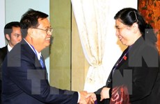 Vietnam hopes for Laos’s support in Mekong River water management