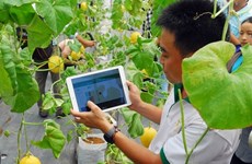 Nutifood invests in Dak Lak hi-tech agriculture