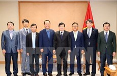 Vietnam encourages Korean investment in electricity projects