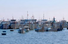 Khanh Hoa province supports offshore fishing activities