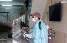 Hanoi: 669 cases of dengue fever recorded