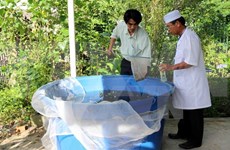 Binh Duong increases prevention of dengue fever