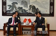 Vietnamese, Chinese youth seek closer ties