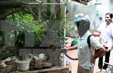 Hanoi reports first death from dengue fever