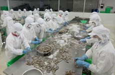 Vietnam’s shrimp export to Japan sees sharp increase 