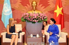 NA Chairwoman hails Vietnam-Netherlands ties as typical, effective 