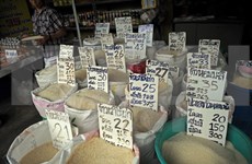 Price of Thai rice reaches 425 USD per tonne on global market