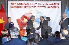 Int’l community hails Vietnam’s contributions to UN 