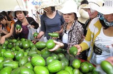 Southern fruit festival opens 